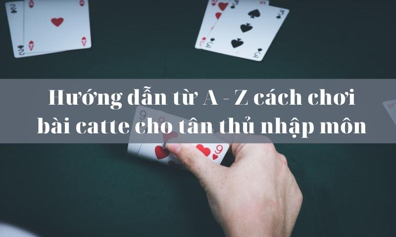 Bài catte - Hướng dẫn từ A - Z cho tân thủ nhập môn