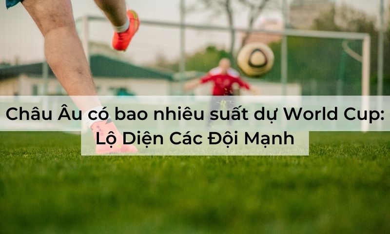 Châu Âu có bao nhiêu suất dự World Cup: Lộ Diện Các Đội Mạnh