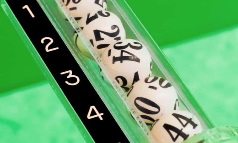 Livebet là trò chơi như thế nào?