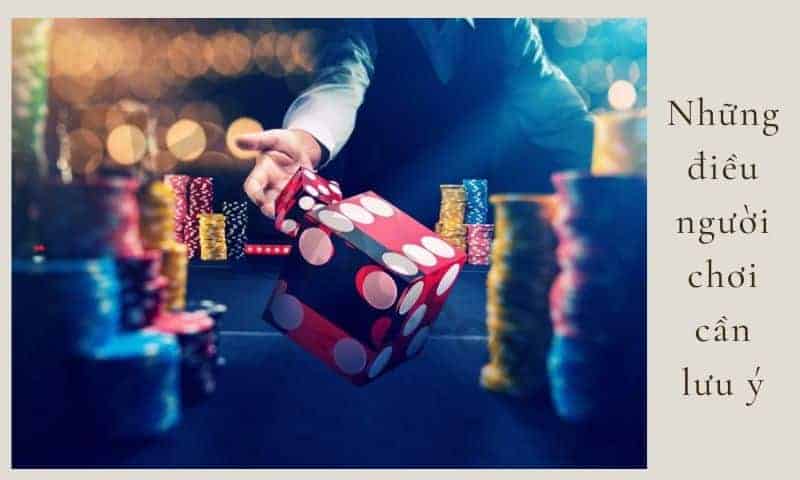 Những điều mà người chơi cần lưu ý với game tài xỉu đổi tiền thật