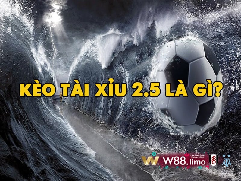 Kèo tài xỉu 2.5 là gì