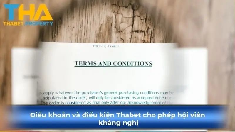 Điều khoản và điều kiện KUBET cho phép hội viên kháng nghị