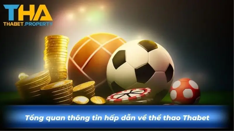 Tổng quan thông tin hấp dẫn về thể thao Thabet